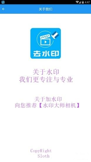 视频去水印大师