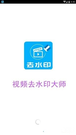 视频去水印大师