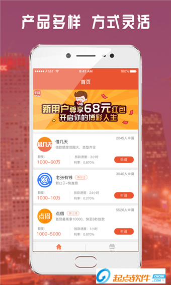 大额借款