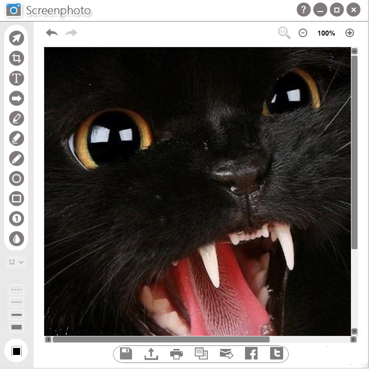 Screenphoto软件下载