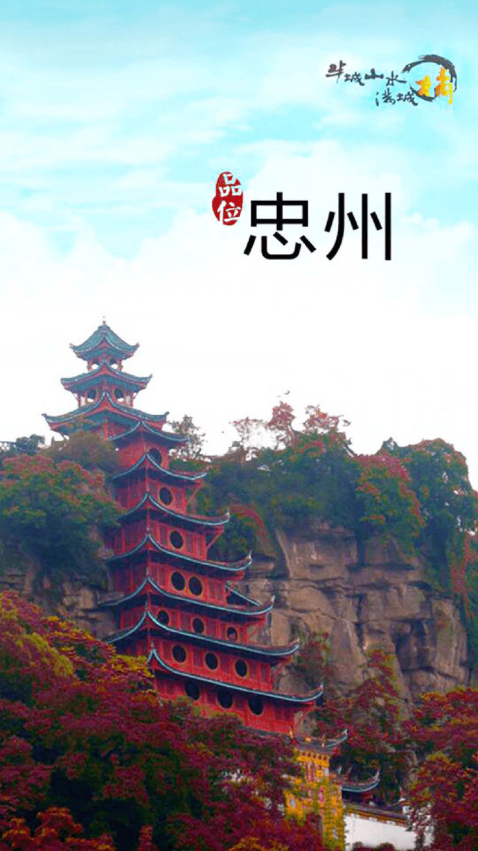 品位忠州苹果版