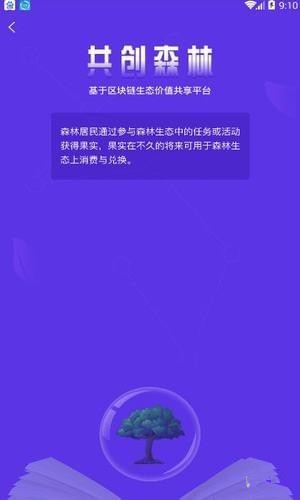 共创森林app
