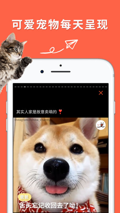 朋宠PECO安卓版