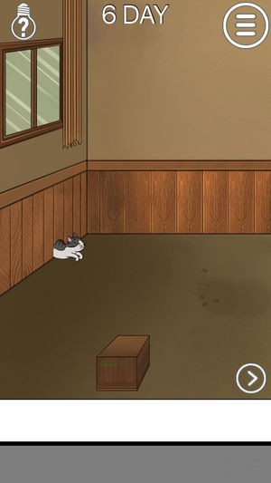 我的猫咪找不到了安卓版