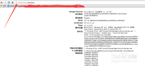 google浏览器下载|google浏览器官网 pc版 绿色