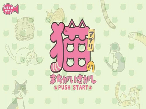 寻找猫的错误安卓版