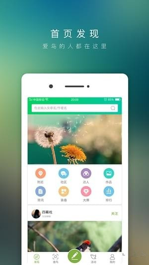 爱鸟app