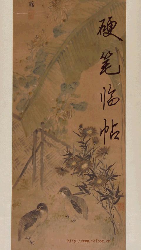 硬笔临帖手机版