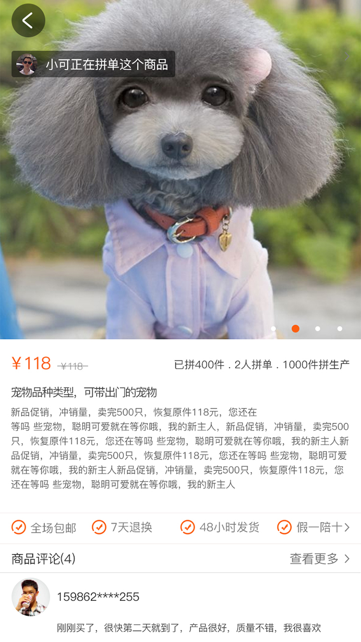 宠物魔方app