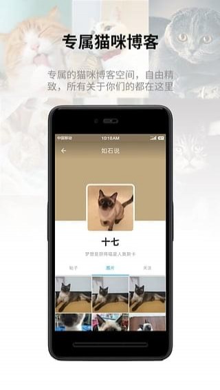 猫书app