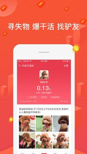 知猪最新版