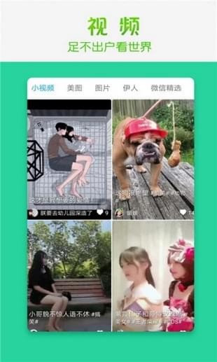 天天趣看手机版