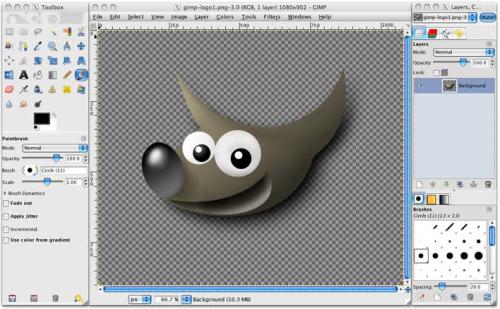 gimp
