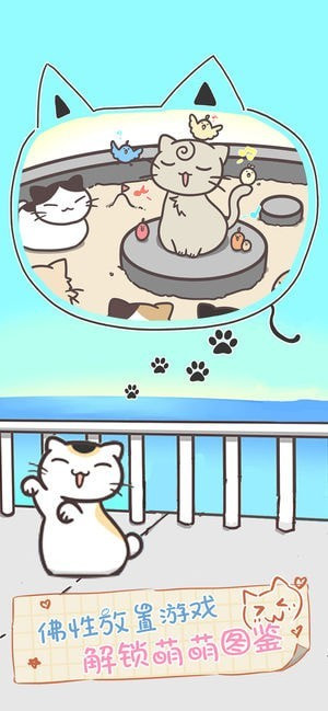 猫咪饲养日常
