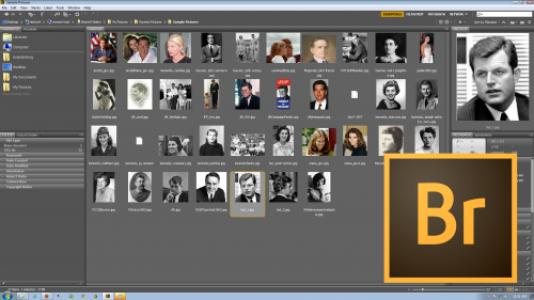 adobe bridge