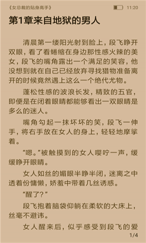 飞跃看书下载
