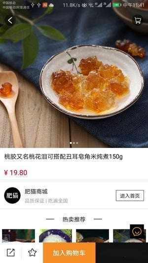 肥猫圈子app下载