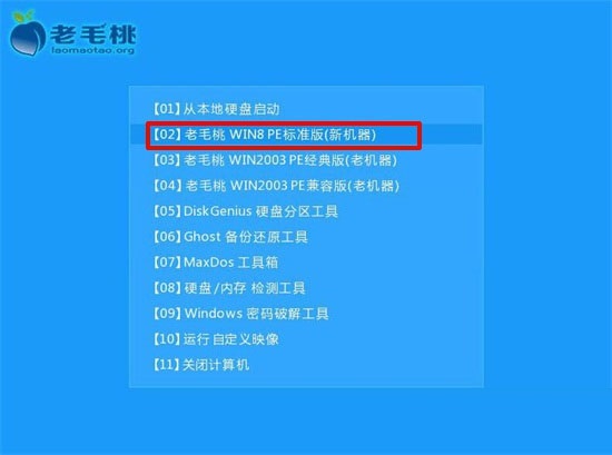 老挑毛u盘启动工具下载