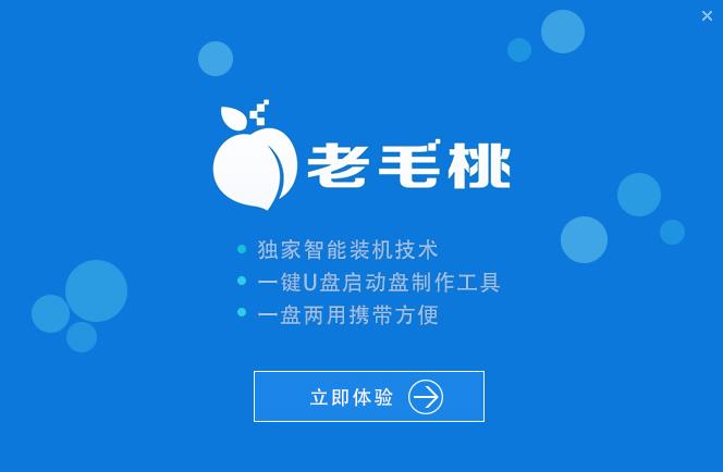 老挑毛u盘启动工具