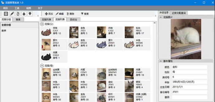 龙猫管理系统