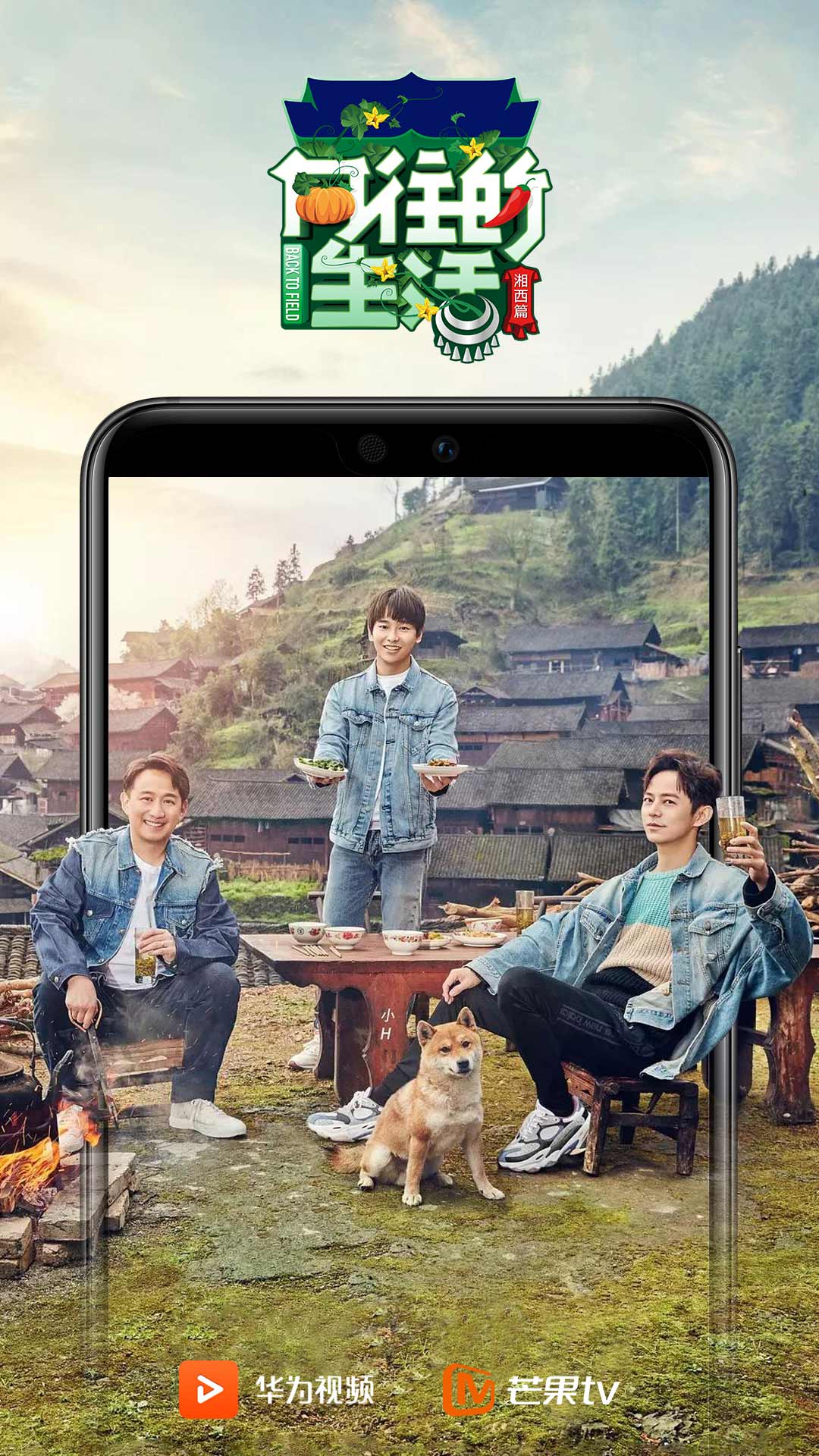 华为视频app