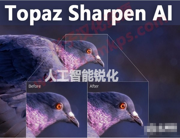 Topaz Sharpen AI下载