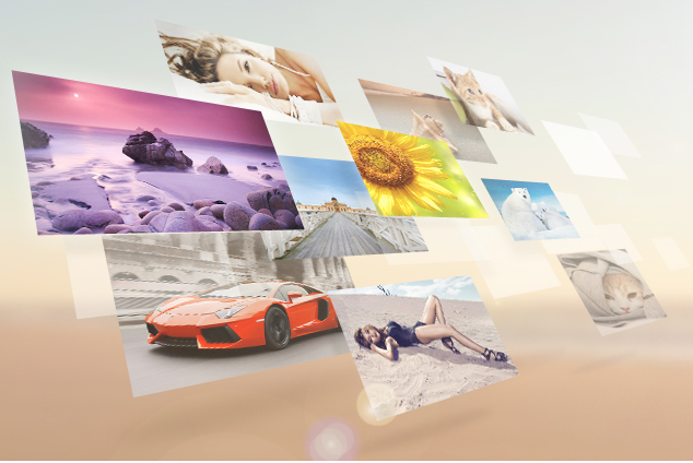 360小鸟壁纸软件下载