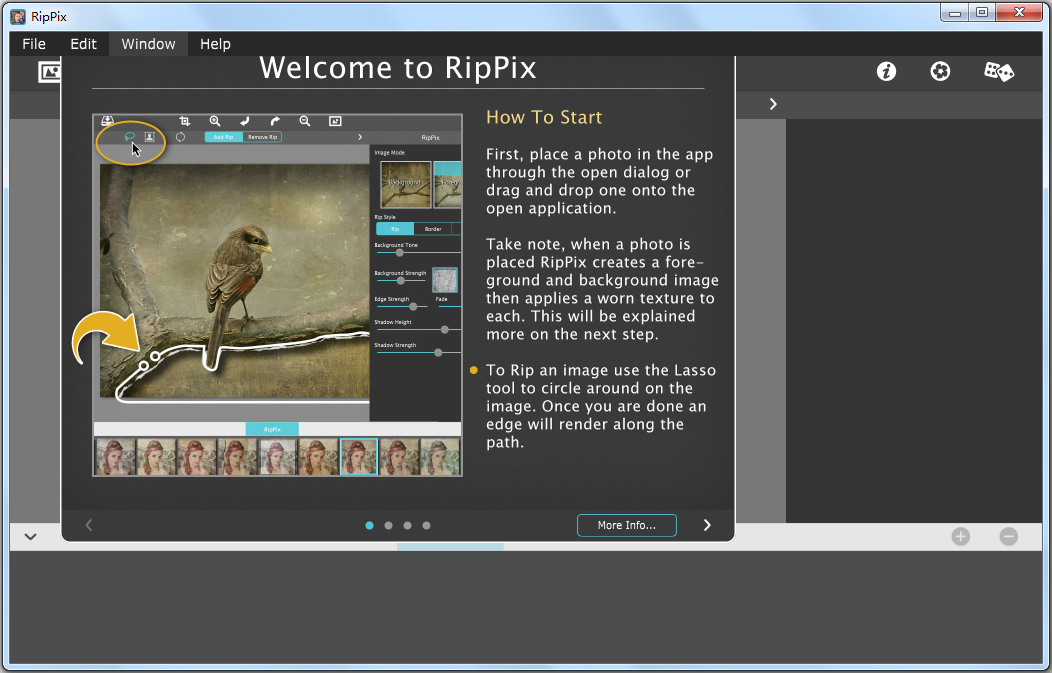 JixiPix RipPix下载