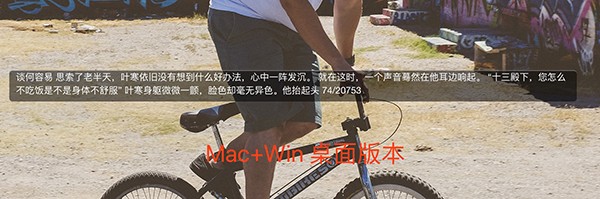 Thief Book mac版