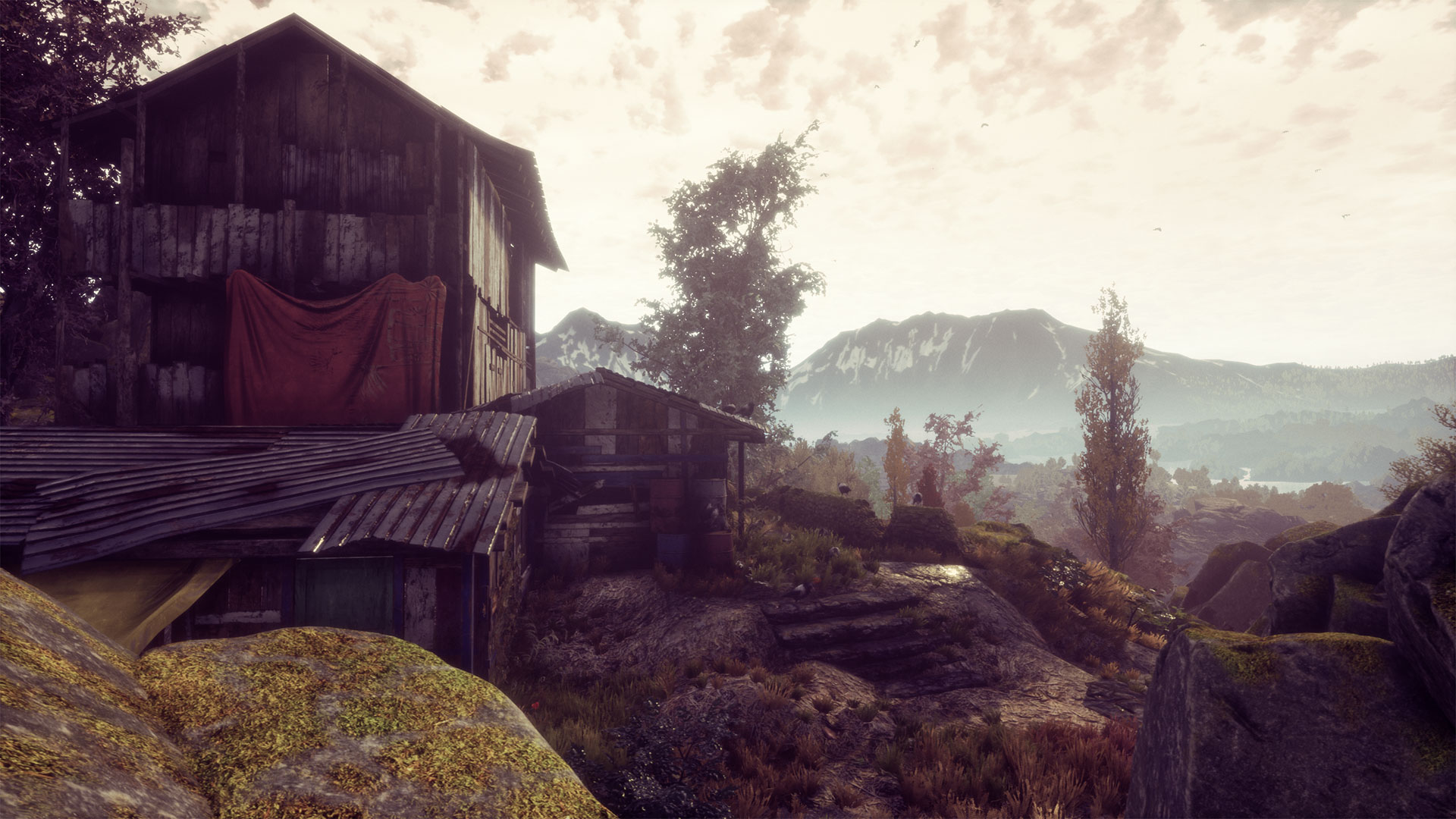 兰古纳的枯树游戏