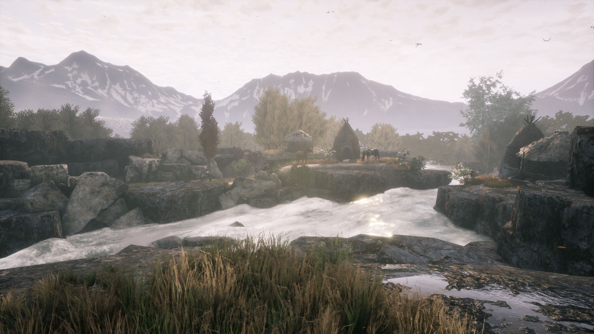 兰古纳的枯树游戏