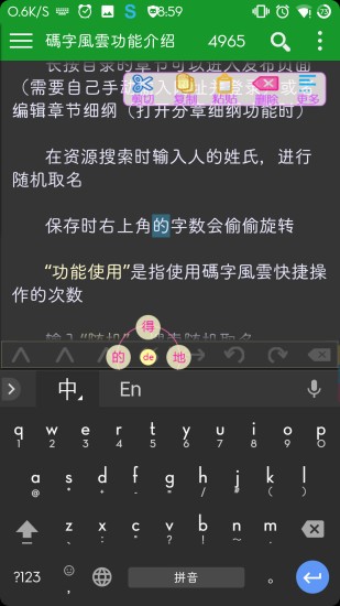 码字风云下载