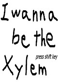 I wanna be the Xylem下载