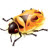 Firebug