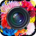 Cameran蜷川实花相机