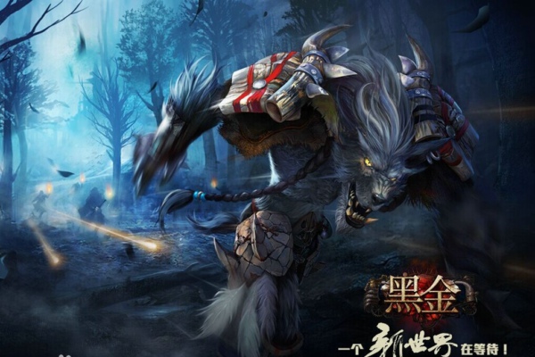 黑金ol V2.011 官方下载图3