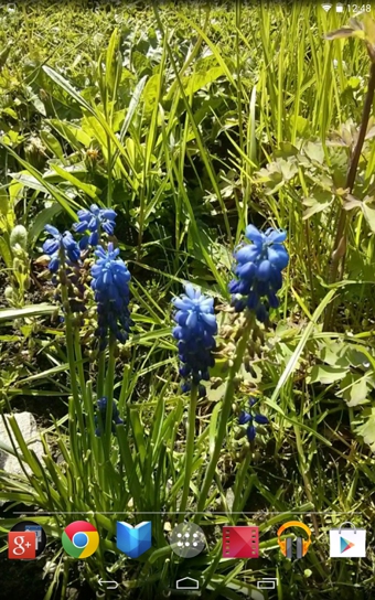 Depth Photo 3D Live Wallpaper下载 v1.0.4 安卓版图1