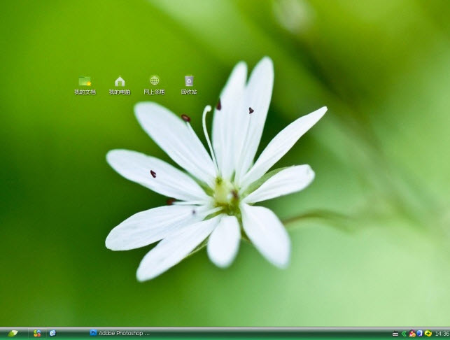 护眼白花电脑主题 绿色版图2