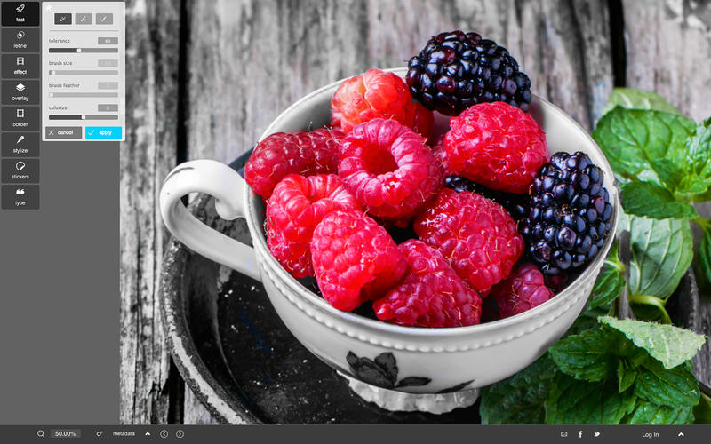 图片处理工具Autodesk Pixlr Mac版 v1.1.1 官方版图4