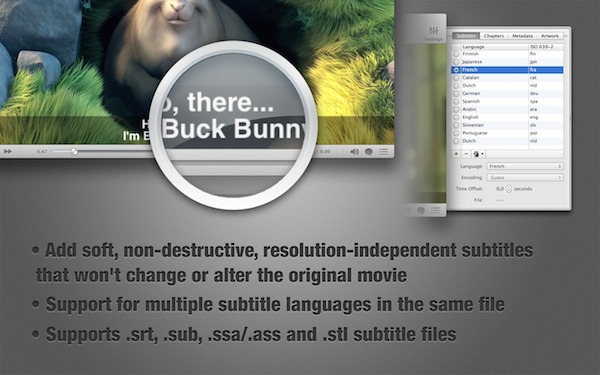 iSubtitle下载 V3.1.2 Mac版图2