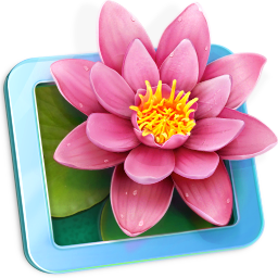 LilyView for mac V1.1 官方版 