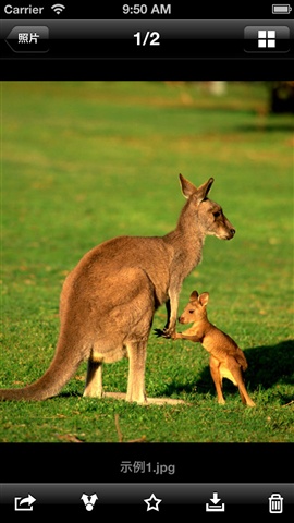 酷盘 3.3.4 安卓版图3