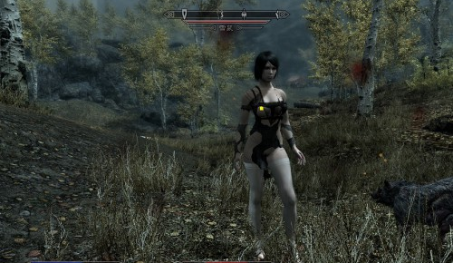 上古卷轴5天际歌特洛丽塔连衣裙MOD下载 绿色版图2