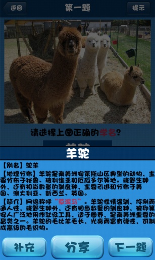 你猜你猜 v1.1 安卓版下载图1