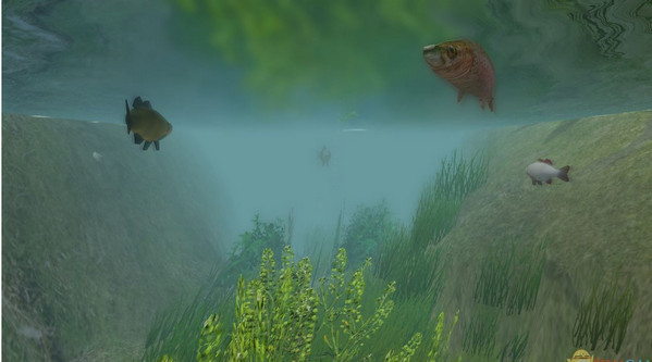 欧洲捕鱼模拟下载 单机版图3