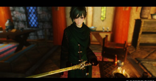 上古卷轴5天际黎明游侠套装下载 中文版图1