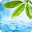 里番神器最新版