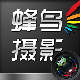 蜂鸟摄影