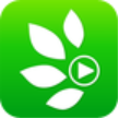 题谷APP