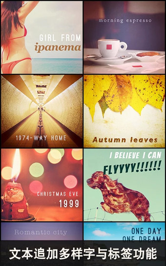 Moldiv V2.7 安卓版图3